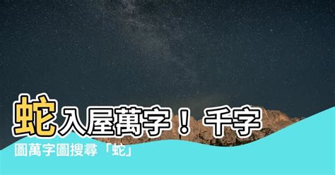 蛇 數字|【蛇什麼號碼】千字文萬字文搜蛇！「蛇什麼號碼」一次告訴你！